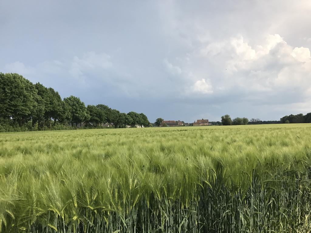 Appartementen De Zegelskoel Heijenrath Kültér fotó